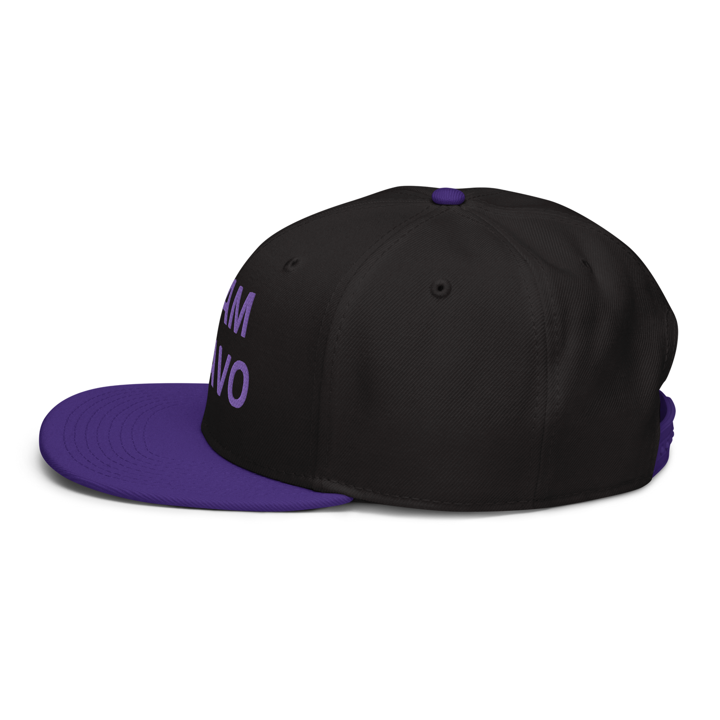 Team Bravo Snapback Hat Purple & Black